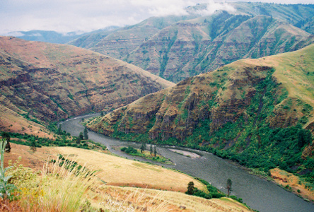 [View of river winding back and forth in a green, treed canyon.]